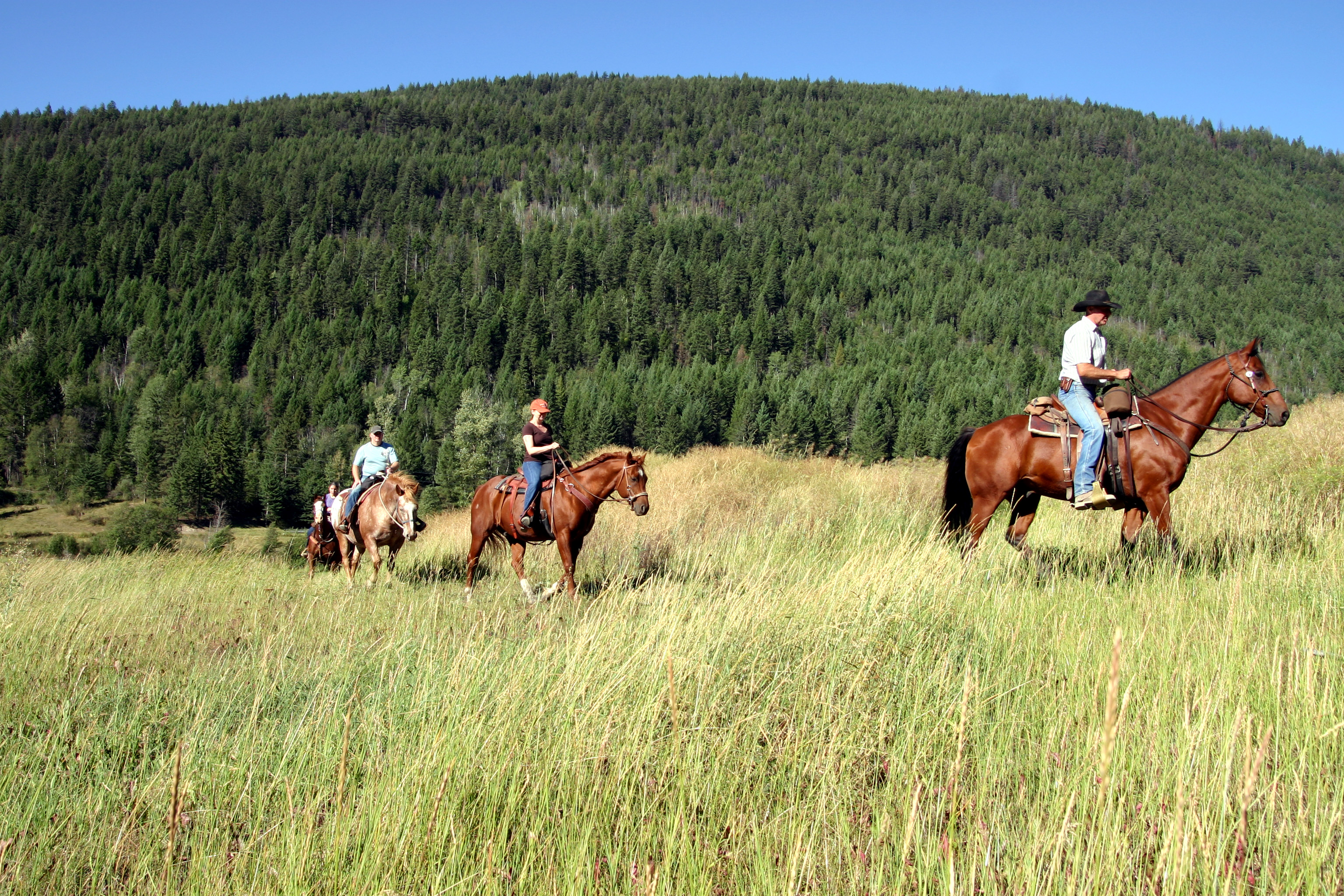 Tod Mountain Ranch Canada